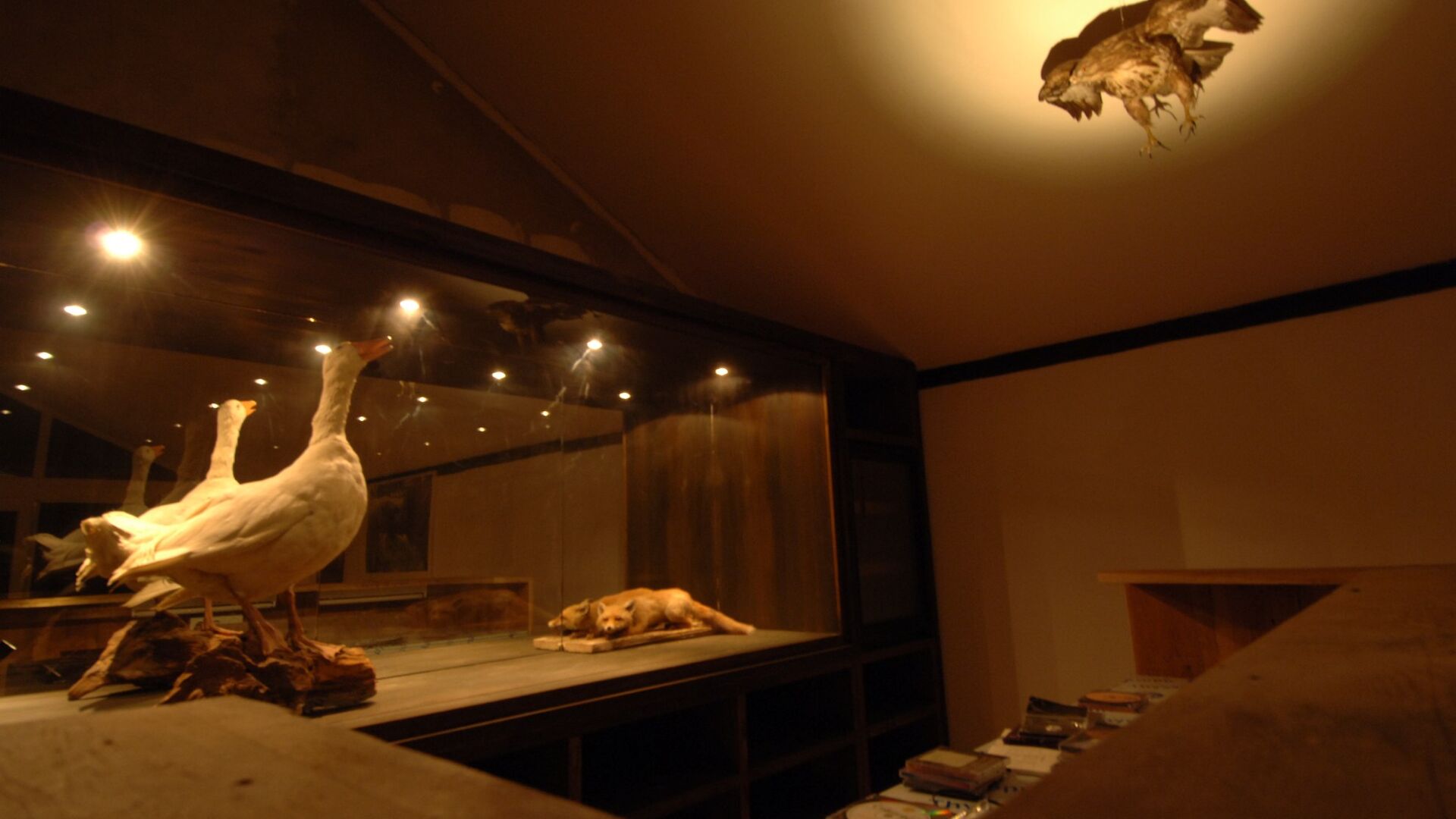 744 Gaensebar 3 Foto Gernot Nalbach